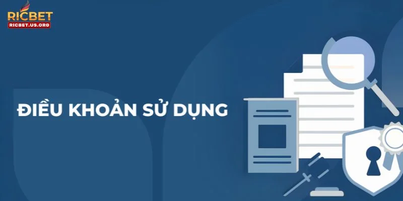 Điều khoản sử dụng được thiết lập với đầy đủ nội dung. 